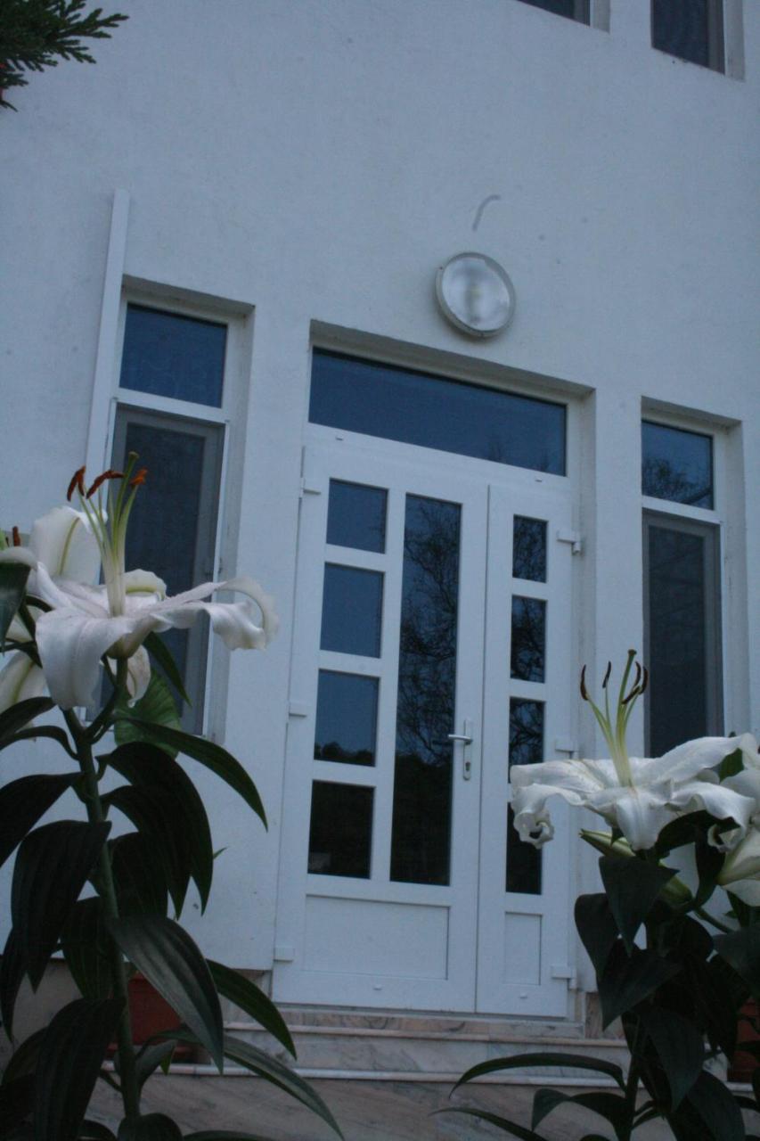 Manea Orsova Hotel Kültér fotó